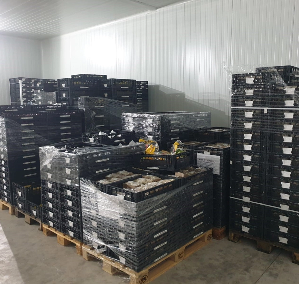 persona inspeccionando cajas