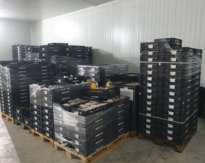 cajas de productos apiladas en un contenedor